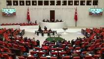 CHP'li Girgin: Saraya değil, ormanların geleceğine bütçe!