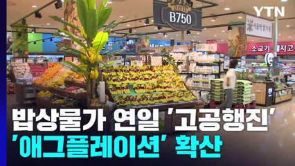 '애그플레이션' 확산...농축산물값 폭등에 집밥도 걱정 / YTN
