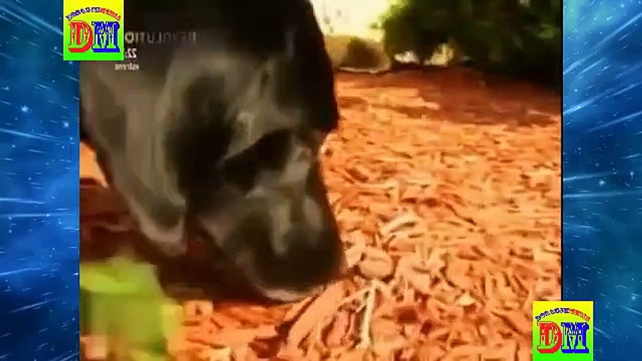 crimenes imperfectos el extraño caso del chico desaparecido un caso mas complicado de resolver