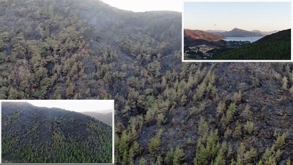 Marmaris’te orman yangınının 4.gününden son görüntüler