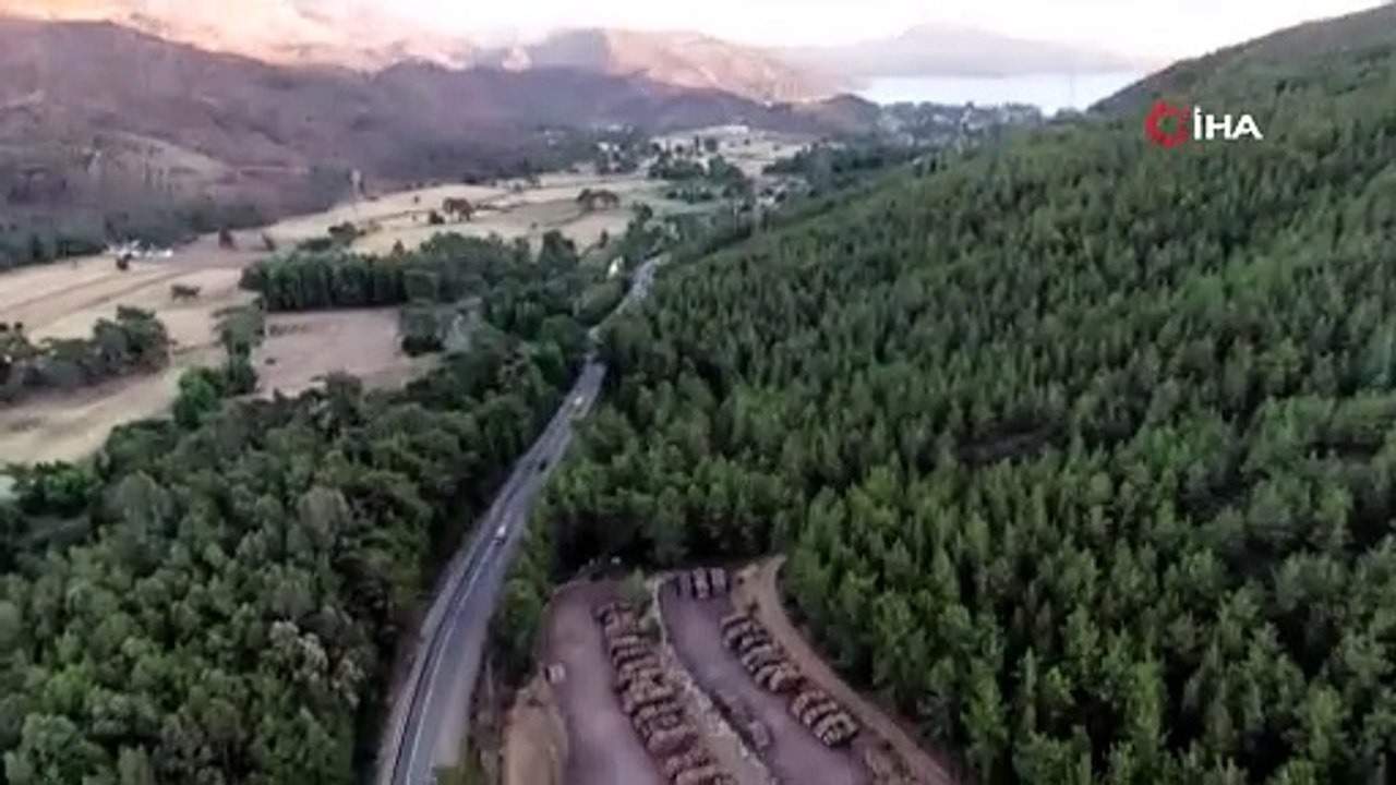 Yazık günah değil mi? Marmaris'te yürekleri dağlayan kara tablo havadan görüntülendi