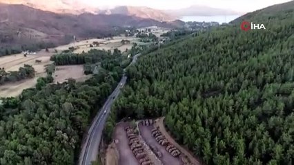 Yazık günah değil mi? Marmaris'te yürekleri dağlayan kara tablo havadan görüntülendi