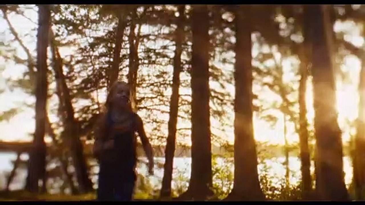 Flag Day Trailer DF video Dailymotion