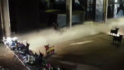 El arte de trascender, Jordi Mollà