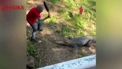 Timsahın saldırısından böyle kurtuldu!