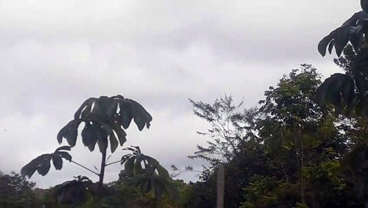 Boeing 737-800 HP-1843CMP Continental Airlines coming from Santarém(Pará) to Manaus(Amazonas)