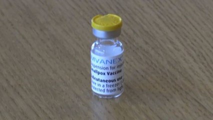 Vaiolo scimmie, Bavarian Nordic: pronti a dare vaccini al mondo