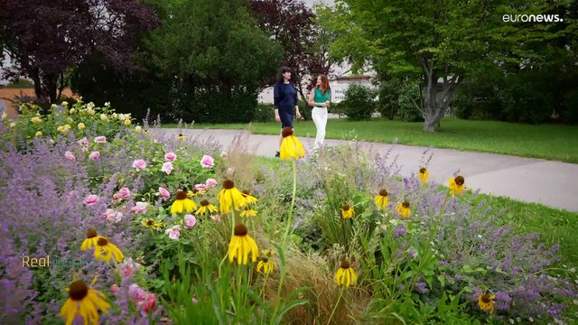 ЕС поможет украинцам трудоустроиться