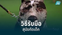 ครูฝึกแนะวิธีรับมือสุนัขกัดเด็ก | เข้มข่าวใหญ่ | 22 มิ.ย. 65