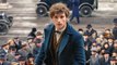 Phantastische Tierwesen und wo sie zu finden sind - Comic-Con-Trailer zum Harry-Potter-Prequel