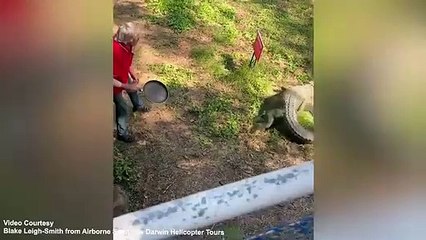 Hombre gana pelea contra un cocodrilo gracias a un sartén