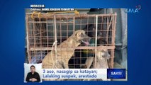 3 aso, nasagip sa katayan; Lalaking suspek, arestado | Saksi