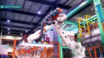 L'impatto dei robot sul mondo del lavoro. Il futuro è nell'integrazione con l'uomo