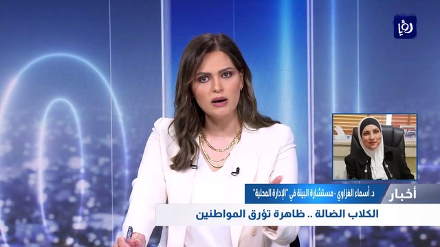 الإدارة المحلية : مشكلة الكلاب الضالة أصبحت مؤرقة وتهدد المواطنين