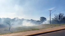 Foco de incêndio na Avenida Brasil atrapalha trânsito em Apucarana