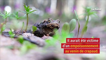 Un autre oligarque russe meurt dans des conditions mystérieuses