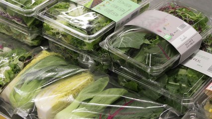 [녹색] 신선 채소로 소득↑ 건강↑...다양한 판로확보 시급 / YTN