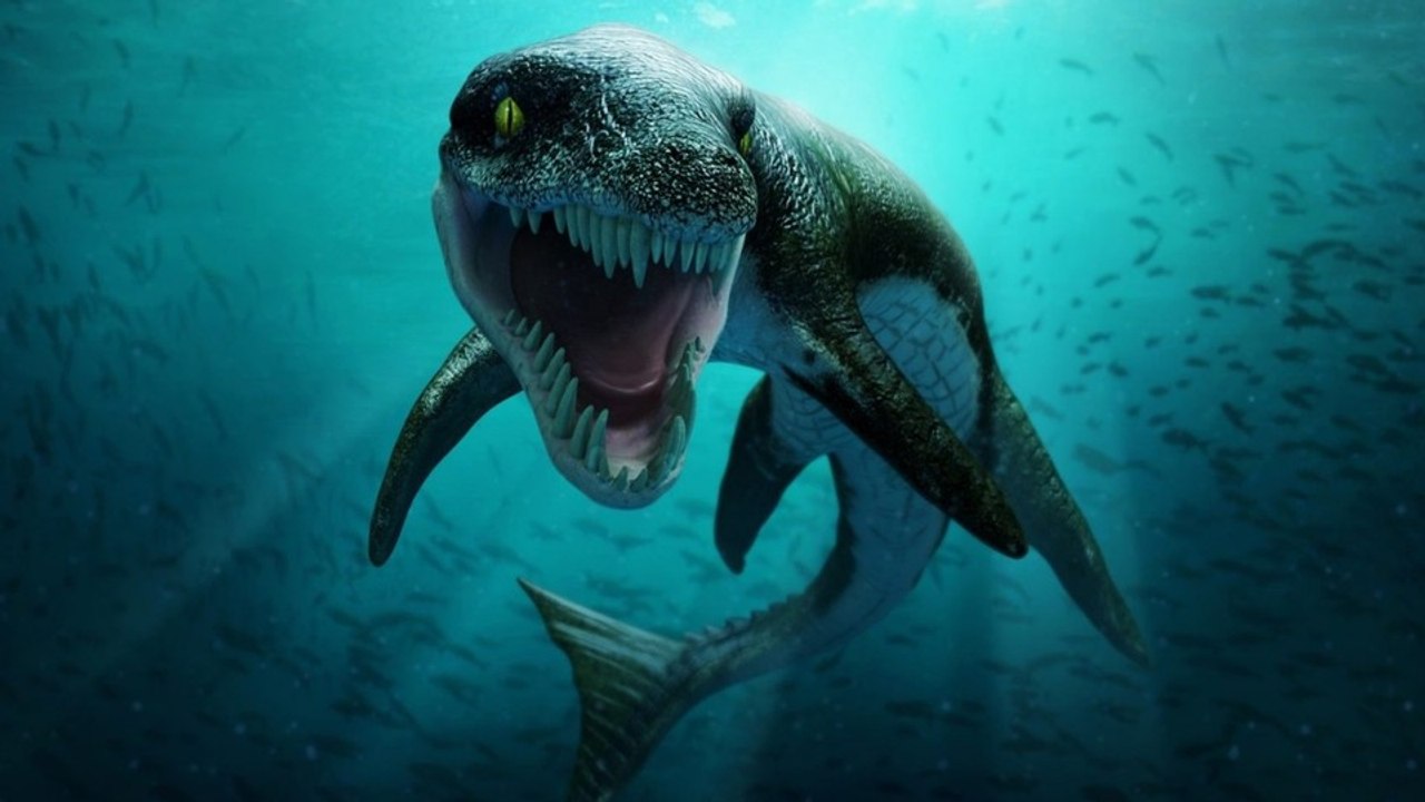 Was ist ... Time Machine VR? - Tauchgang mit Dinosauriern