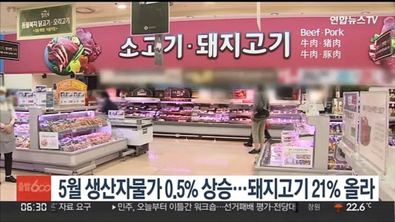 5월 생산자물가 0.5% 상승…돼지고기 21% 올라