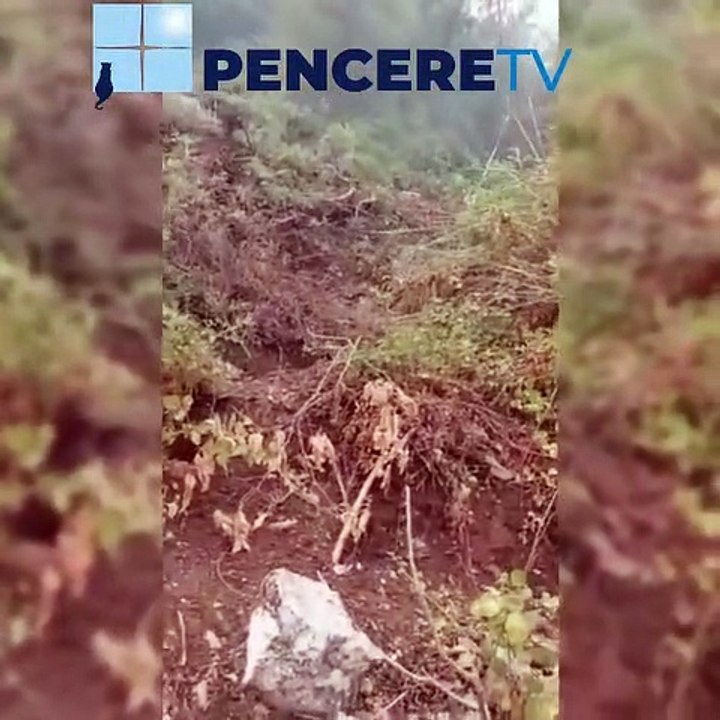 Marmaris Yangınında Ormanda Yaşayan Canlılara Hayat Oldular