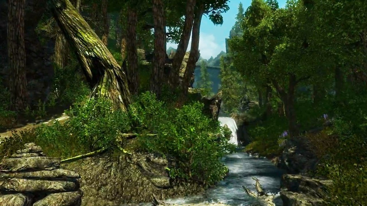 Skyrim: Enderal - Video-Special: Tierlaute in der Wald-Idylle