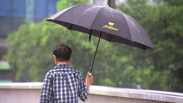 [날씨] 오늘 내륙 첫 장맛비, 최고 150mm...오후부터 국지성 호우 / YTN