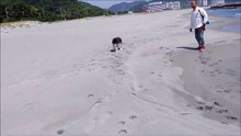 竜宮の磯