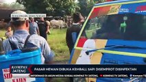 Pasar Hewan Kajen Pekalongan Dibuka Kembali, Sapi Disemprot Disinfektan