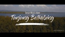 Wisata Alam Pantai Penyu di Tanjung Belimbing di Perbatasan Indonesia - Malaysia _ Conservation News