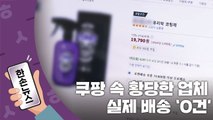 [한손뉴스] 실제 배송 '0건', 쿠팡 속 황당한 업체의 진짜 노림수는... / YTN