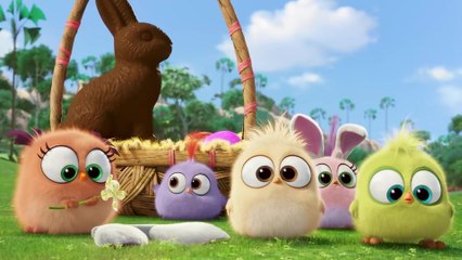 Angry Birds: Film - Trailer: Die Küken wünschen frohe Ostern