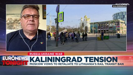Kaliningrad row: "It’s nothing to do with a blockade" says Lithuania's former foreign minister