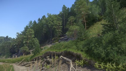 Kingdom Come: Deliverance - Warum uns der Wald im Spiel so beeindruckt