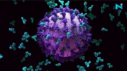 India records 13,313 new Covid cases, 38 more deaths