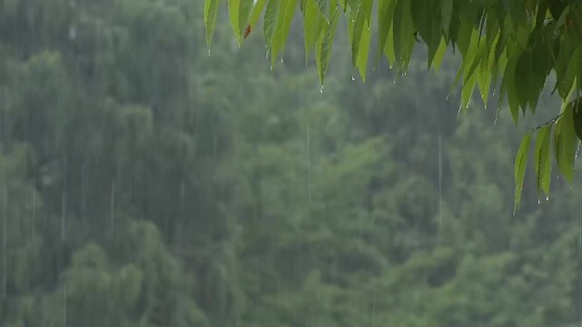 [날씨] 강화·파주에 호우경보, 전국에 장맛비...국지 호우 유의 / YTN