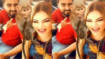 Rakhi Sawant के कंधे पर  Airport पर बैठा बन्दर, Bf संग राखी का Funny Video हुआ Viral|FilmiBeat*TV