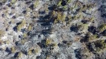 Marmaris'teki orman yangınında zarar gören alanlar havadan görüntülendi