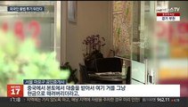 8살 중국 어린이가 집주인…외국인 투기 첫 기획조사