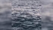 Denize düşen balıkçı Sahil Güvenlik botuyla kurtarıldı