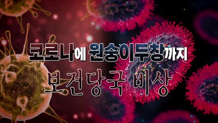 [영상] 원숭이두창에 코로나 재유행 가능성 / YTN