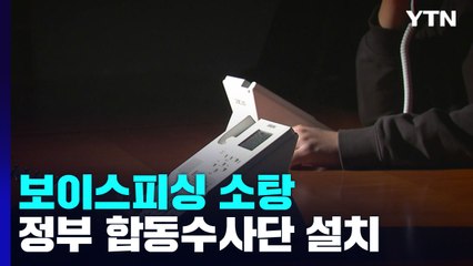 보이스피싱 정부합동수사단 설치..."최고 무기징역 발본색원" / YTN