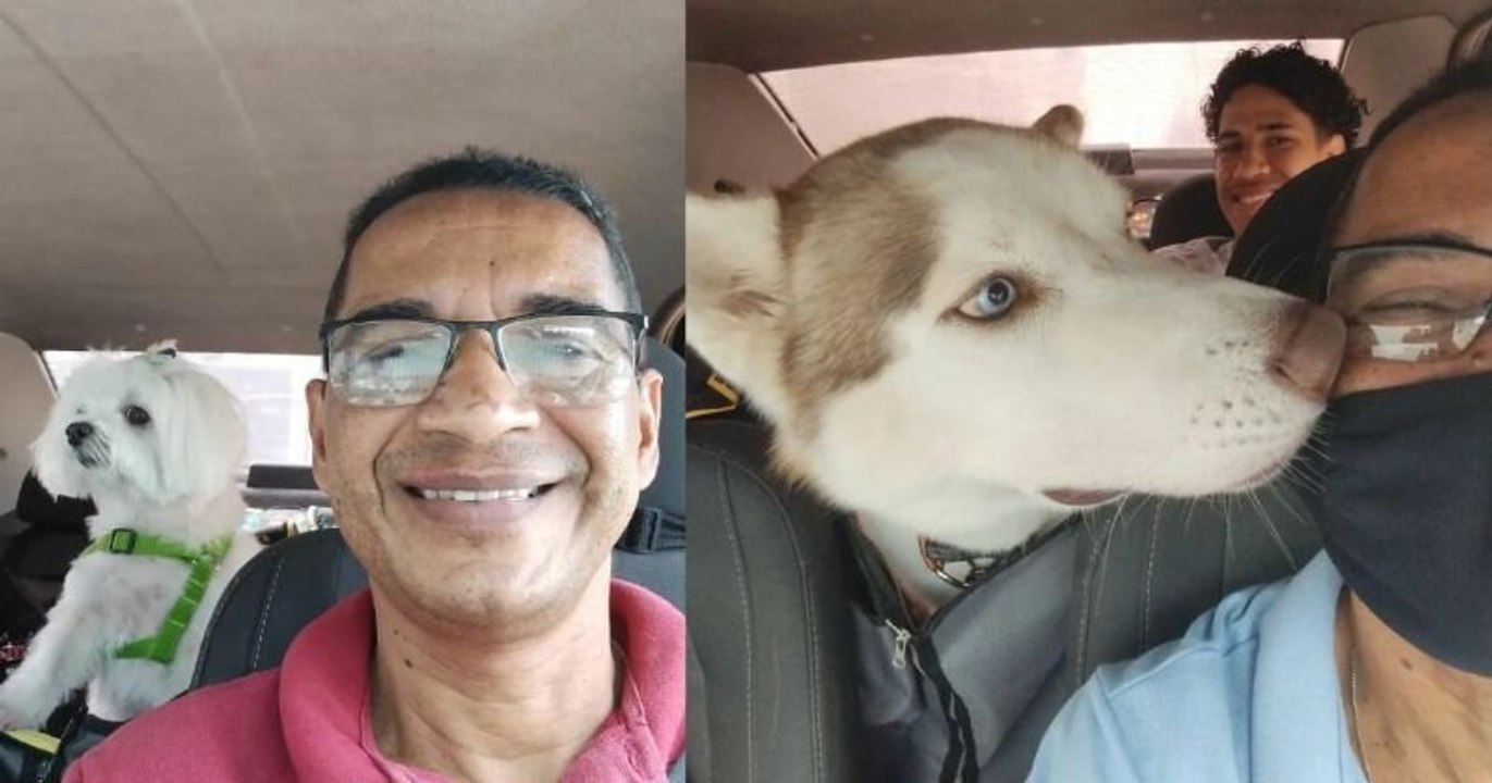 Il lance un service de taxi pour animaux et se prend en selfie avec ses compagnons de route
