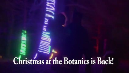 Christmas at the Botanics