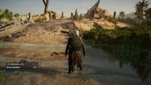 Assassin's Creed: Origins - Steinkreis der »Zwillinge« in Desert Oasis: Fundort & Lösung