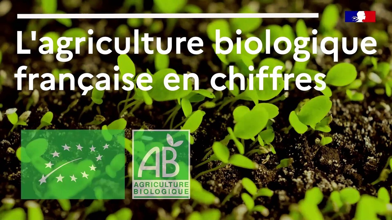 L'agriculture biologique française en chiffres