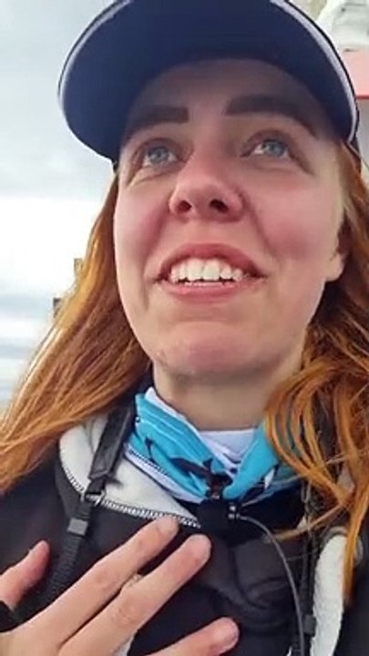 vídeo, orcas