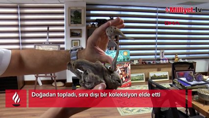 Doğadan topladı, sıra dışı bir koleksiyon elde etti
