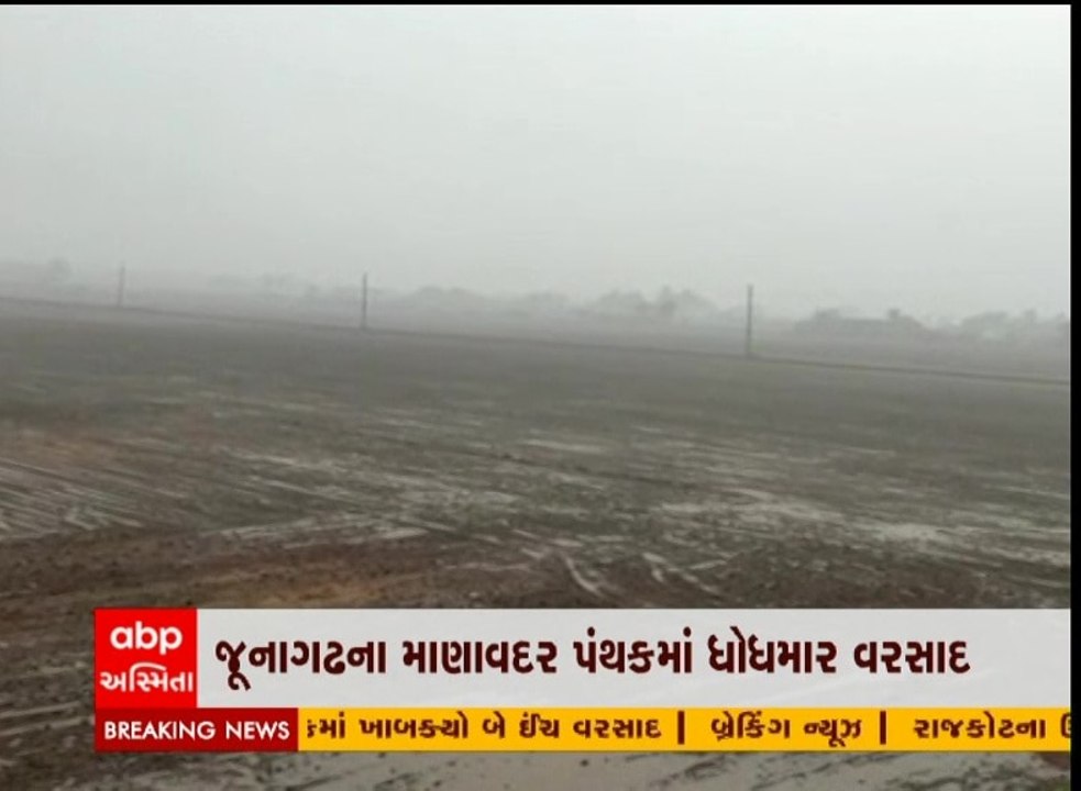 જૂનાગઢ: માણાવદર પંથકમાં વરસાદથી ખેડૂતોમાં ખુશી