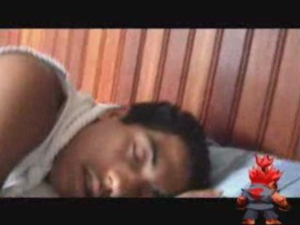 branlus in the capotus en hibernation