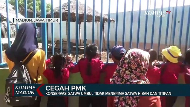 Cegah PMK, Konservasi Satwa Umbul Tidak Menerima Satwa Hibah Dan Titipan